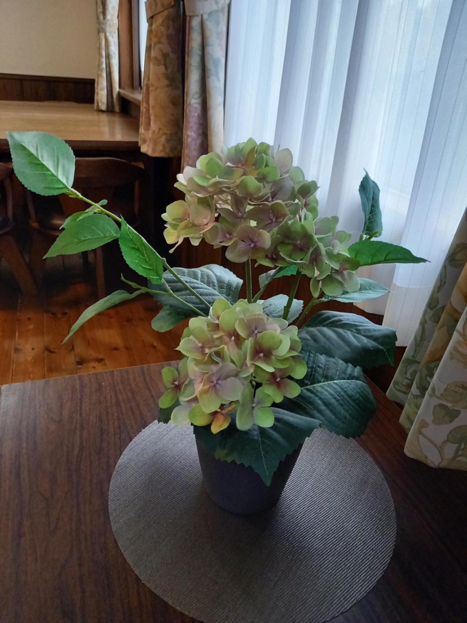 Hakuba Powder Lodge Taketombo 外观 照片